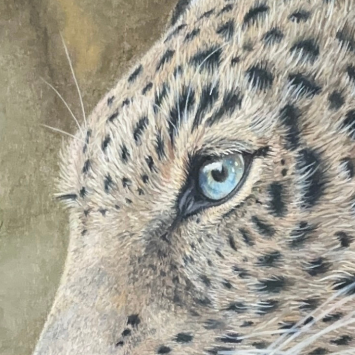 Amur_Leopard_Painting_Portrait