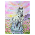Year of the Horse - Appaloosa Print