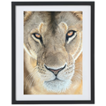 Awaken_the_Lioness_Painting_Print