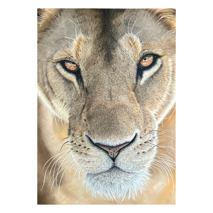 Lioness_Painting_Pastel_Portrait