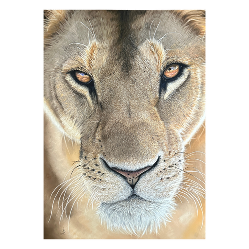 Lioness_Painting_Pastel_Portrait
