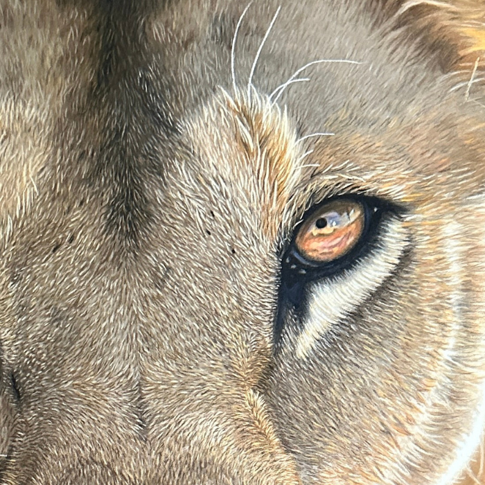 Realistic_Lioness_Painting